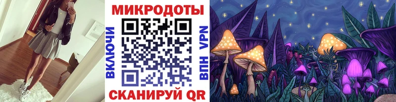 Псилоцибиновые грибы мицелий блэк спрут как войти Боровичи как найти