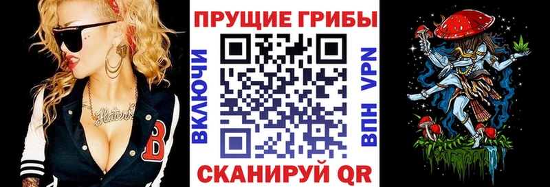 Псилоцибиновые грибы Cubensis Боровичи
